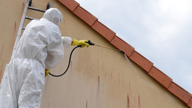 Nettoyage et peinture façade - PROMEUCHE : Peintre en Belgique : Namur, Jumet Charleroi …traitement anti-mousse, démoussage, imperméabilisation, ravalement peinture façade, boiserie, ferronnerie en Belgique . PROMEUCHE est une entreprise artisanale en Belgique : Région Wallonne, Flamande et Bruxelles