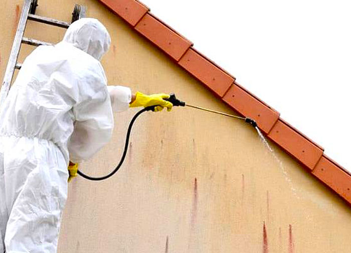 PROMEUCHE : Artisan couvreur, toiturier et peintre en Belgique : Namur, Jumet Charleroi ... Travaux de charpente, traitement des bois, couverture, pose de veaux, zinguerie, nettoyage démoussage peinture hydrofuge toiture, étanchéité toit plat terrasse plateforme roofing, isolation toit / comble, nettoyage démoussage imperméabilisation ravalement peinture façade et nettoyage des extérieurs. PROMEUCHE est une entreprise artisanale en Belgique : Région Wallonne, Flamande et Bruxelles.